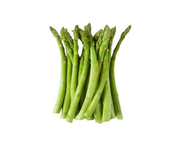 Fresh green asparagus, bunch